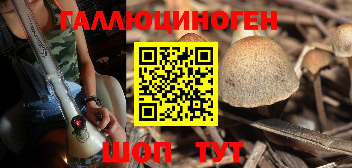 Партизанск  как найти   Вход с VPN  Галлюциногенные грибы GOLDEN TEACHER 